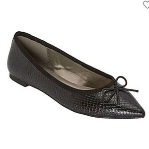 NWT Worthington Gaga Women’s Black Snake Skin Print Pointed Ballet Preppy Flats